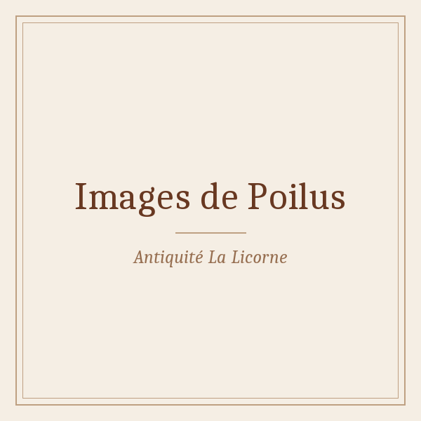Images de Poilus